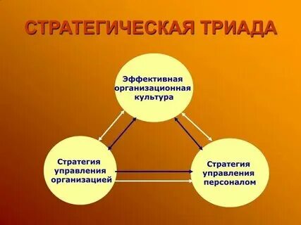 Стратегия управления культурой в организации