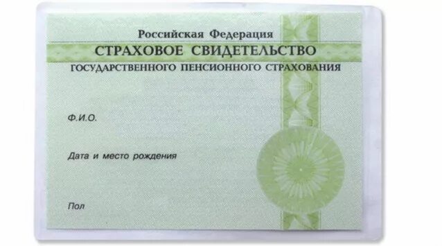 Оформление СНИЛС для иностранцев предложили упростить - Парламентская газета