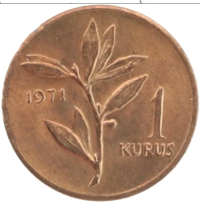 Куруш бронзовый. Монета 1 Куруш. Бронзовый Куруш Турция. Куруш бронзовый 1780.