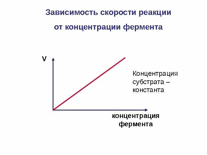 График зависимости скорости реакции от концентрации. График зависимости скорости реакции от концентрации