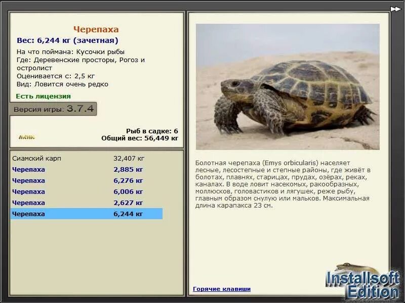 Шпороносная черепаха сухопутные черепахи. Черепаха размеры. Красноухая черепаха размеры. Сухопутные среднеазитская черепахи. Шпороносная черепаха размеры.