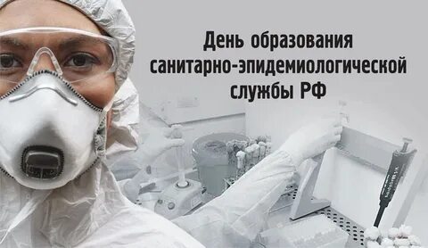 Образование сэс