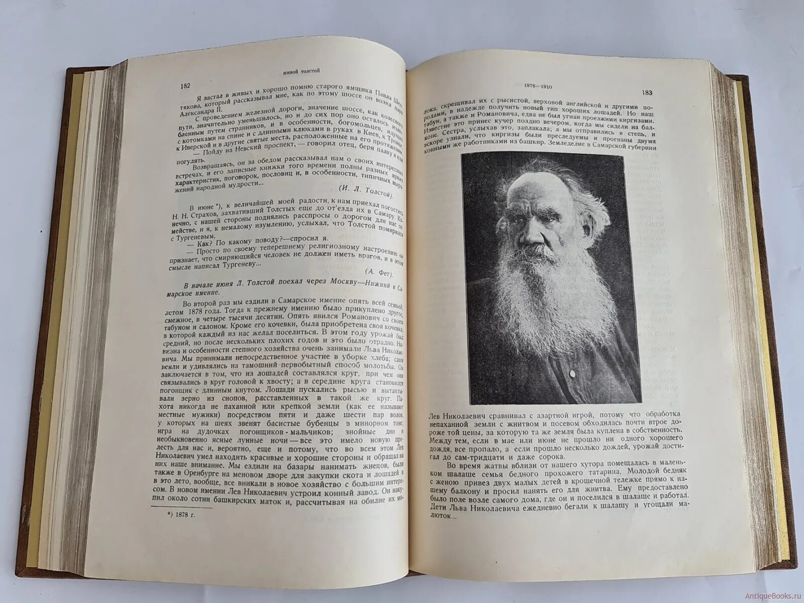 Н.Н. Апостолова. Толстовский сборник журнал. Произведения Толстовский картинки.