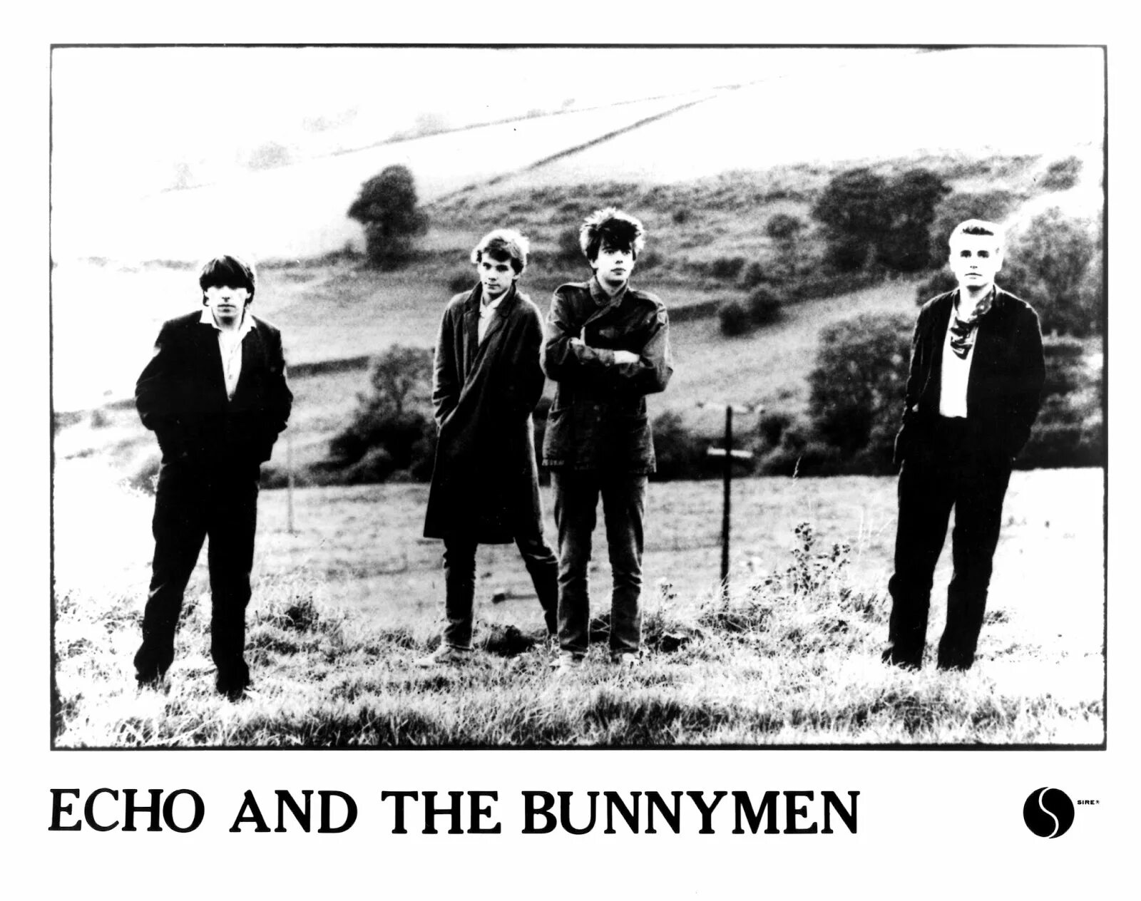Tune the echo in the echoes. Группа echo &amp; the bunnymen. echo and the bunnymen album. echo and the bunnymen heaven up here.