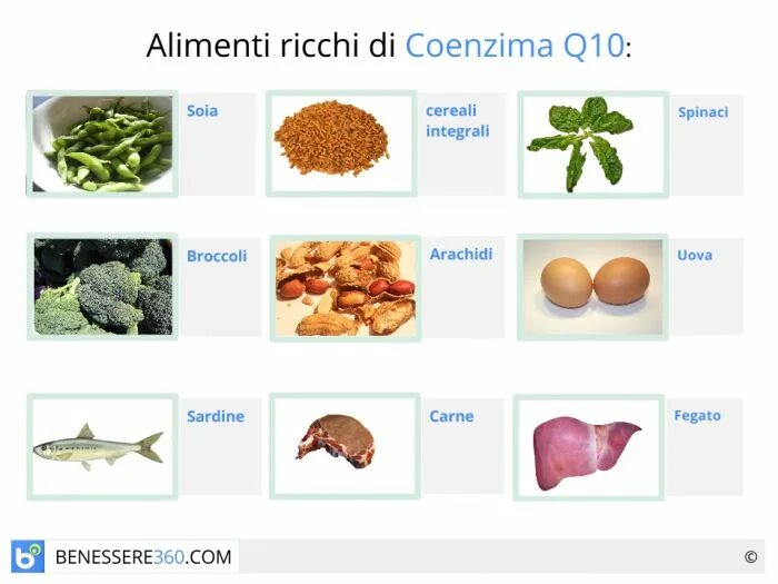 Витамин в 10 в продуктах. Коэнзим q10 продукты таблица. Продукты богатые коэнзимом q10. Продукты богатые коэнзимом q10 таблица. Коэнзим ку 10 в каких продуктах содержится.