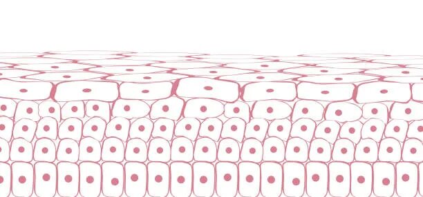 Cell pattern