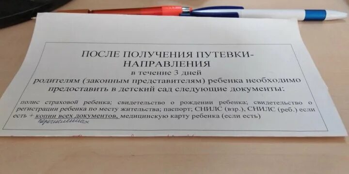 Когда дают путевки в детский. Путевка в детский сад. Документы для получения путевки в детский сад. Документы для путевки в садик. Как выглядит путевка в детский сад.