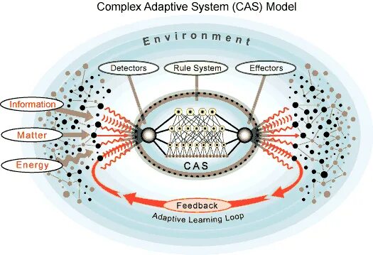 Complex system. Система adaptive. complex systems. сложные адаптивные системы. &quot;complex system&quot; humor.