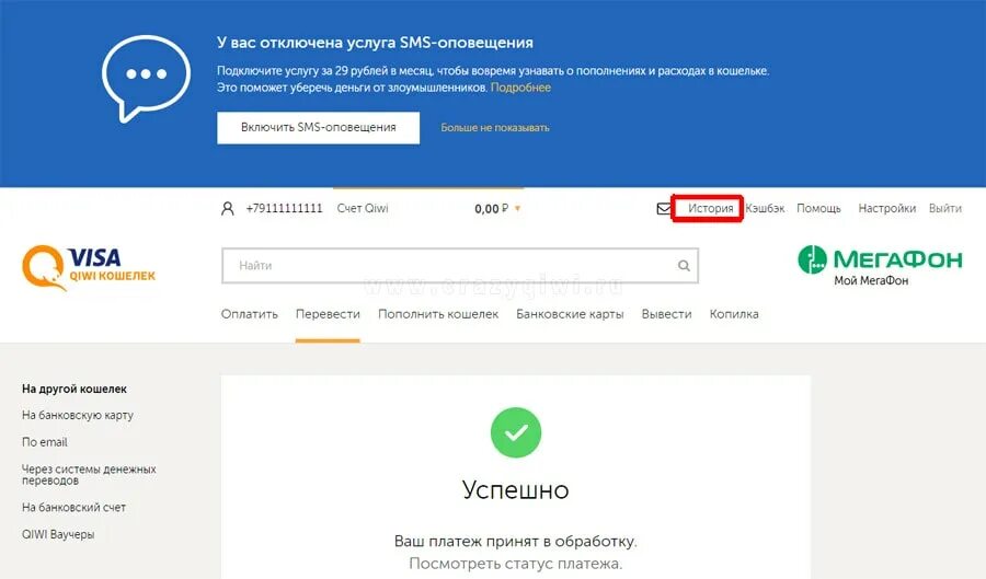 Куда можно переводить с киви. Успешная оплата киви. втб киви кошелек. перевод киви 7800. как перевести с втб на киви.