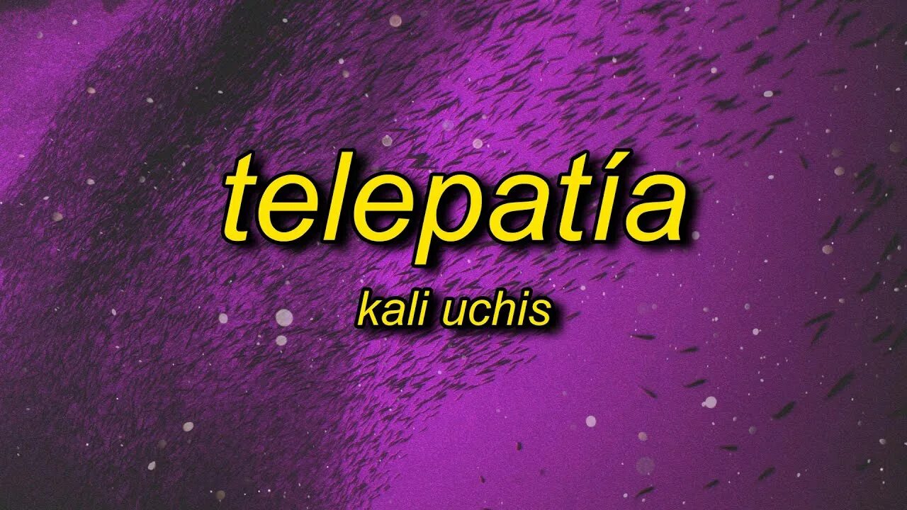 Kali uchis lyrics. Кали фредрикс. Kali uchis. Moonlight by kali uch. Kali uchis moonlight.