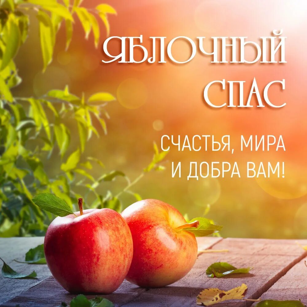 Август яблочный спас. Яблочный спас. яблочный спас поздравления. открытка яблочный спас с праздником. пожелания к яблочному спасу.