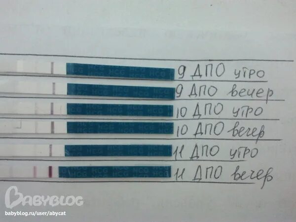 Признаки после овуляции форум. 9 ДПО тест на беременность. 9 День ДПО тест на беременность. 9 Дней ДПО тест слабоположительный. Тест на беременность на 9 день после овуляции.