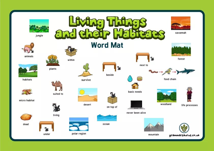 We should animals habitats. Habitats Vocabulary. Habitats на английском. Habitats Flashcards. Jungle Word.