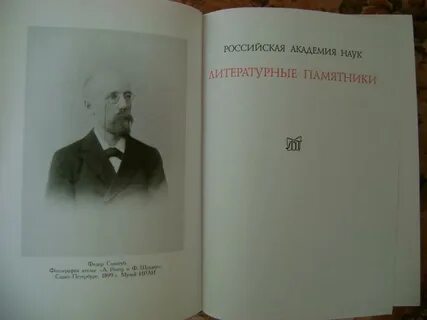 Федора сологуба бесы