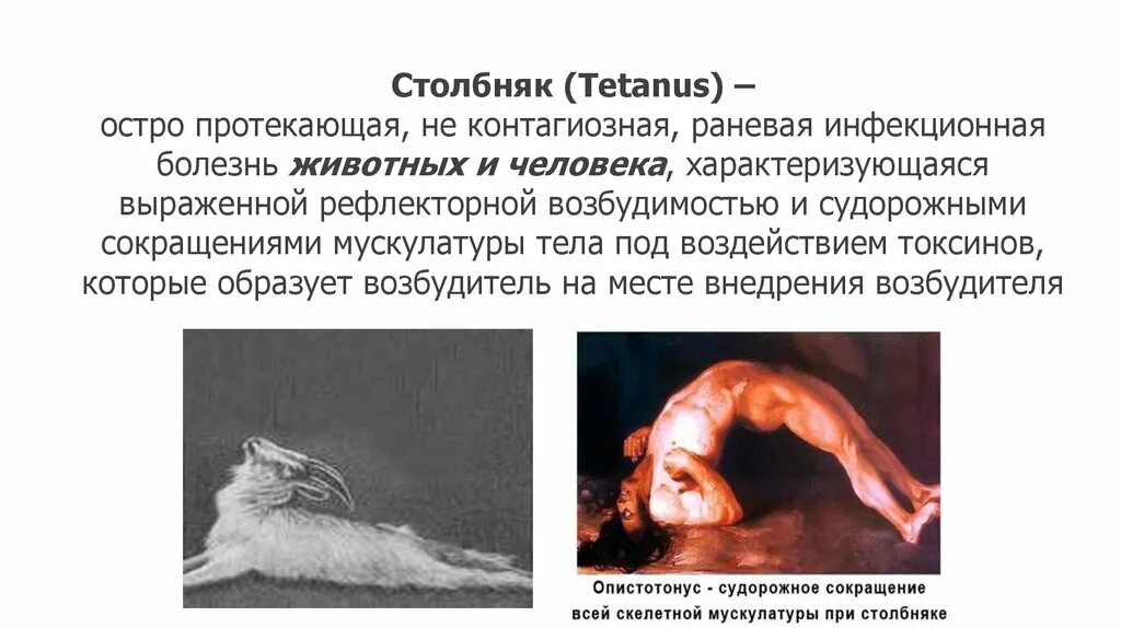 Заражение столбняком. Заражение столбняком. Возбудитель столбняка механизм передачи. Заражение столбняком. Клинические проявления столбняка.