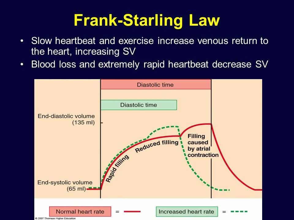 Frank Starling Law. Frank-Starling mechanism. Франк Старлинг физиология. Желудочковый цикл Франк Старлинг. Старлинг что это