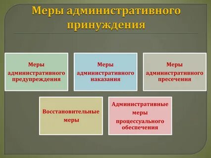 Система мер административного принуждения