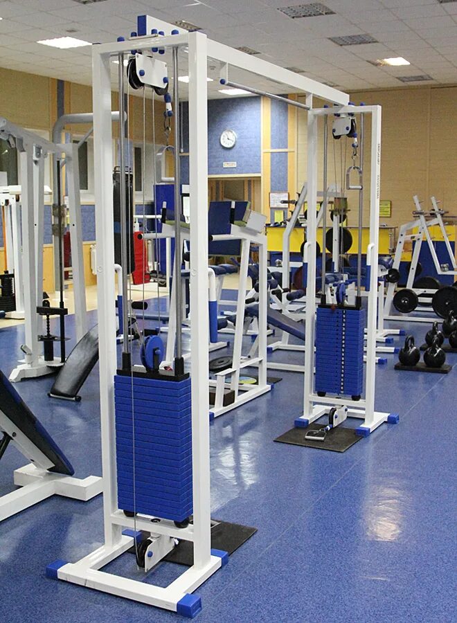 Vasil gym