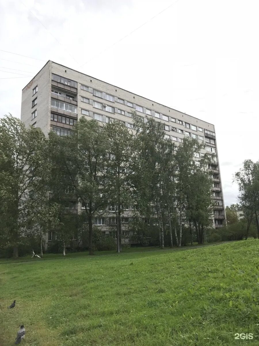 Улица костюшко санкт-петербург больница 26. Костюшко больница. Улица костюшко санкт-петербург больница 26. Улица костюшко санкт-петербург больница 26. Костюшко 2 к 1.