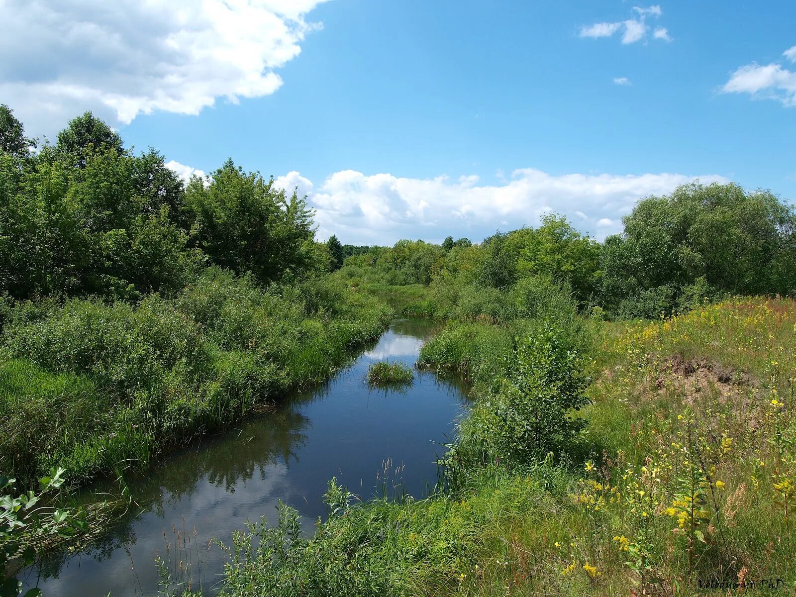 Река укр. Ирша (приток тетерева). Река Ирша. Николо Жупань река УПА. Речка в Украине.