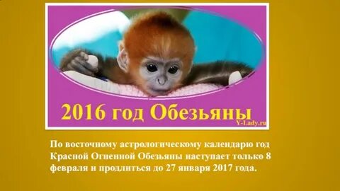 Женщины рожденные в год обезьяны