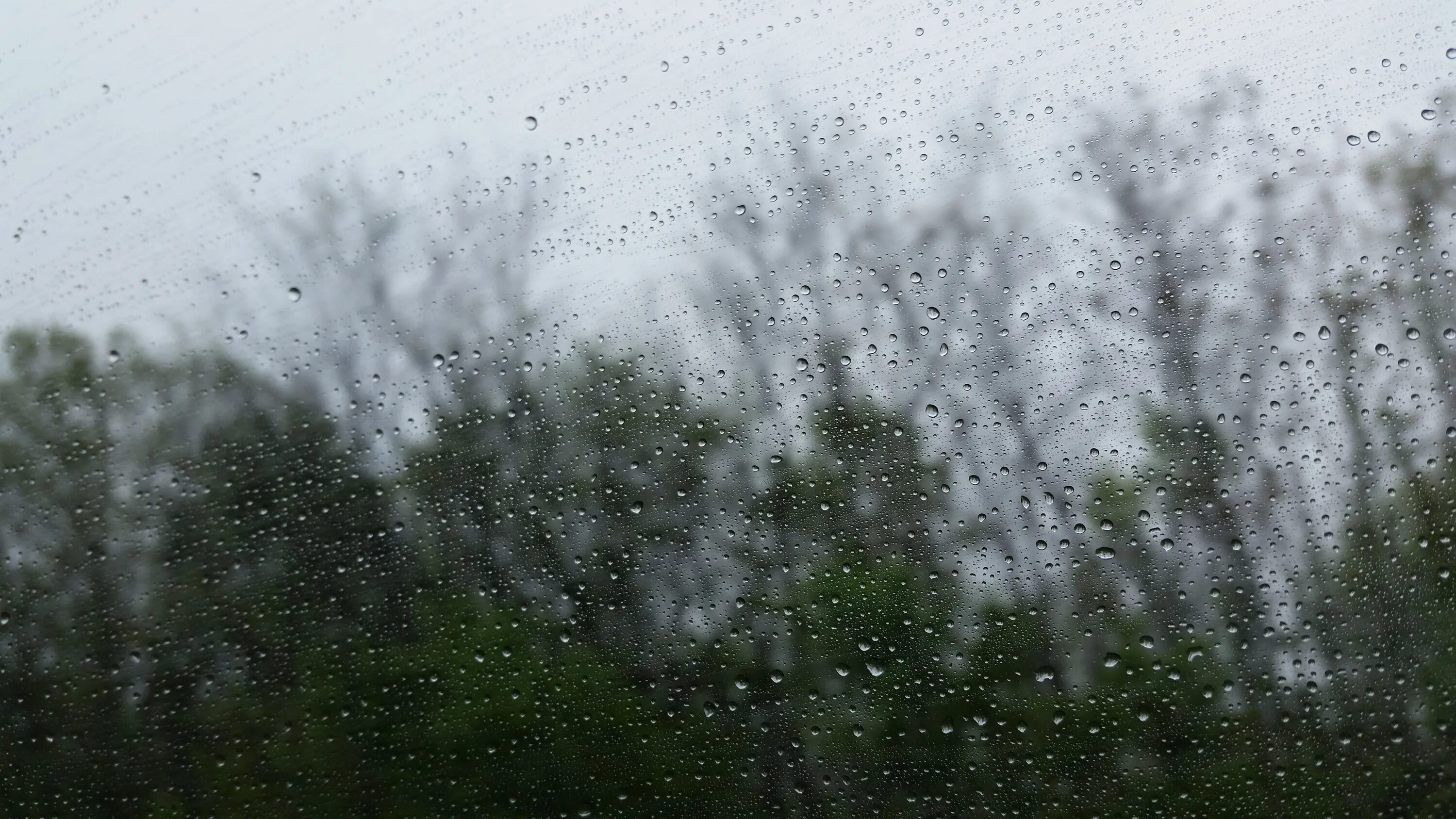Raining tree