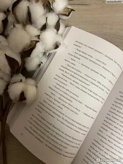 Лисья книга