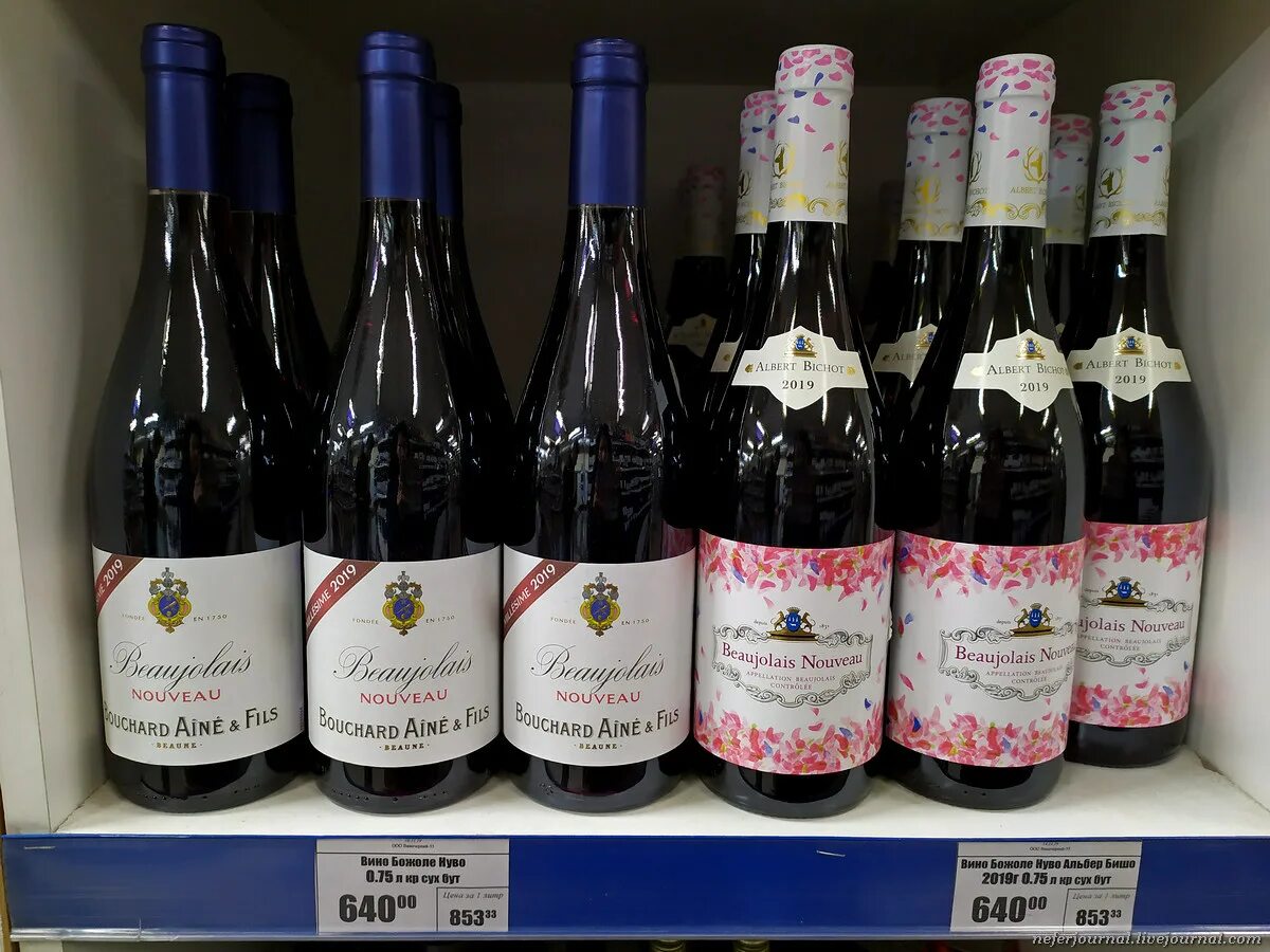 Гамэ сорт винограда. Альбиция шёлковая ленкоранская акация. Семейство мимозовых и одноименное вино 9. Порта 9 вино. Божоле вино 2022.