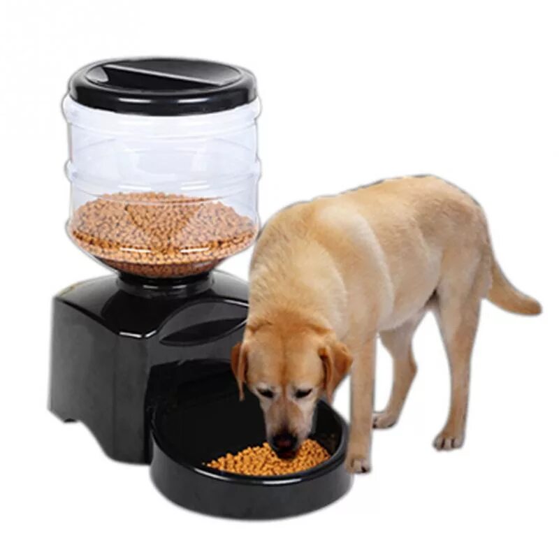 Automatic pet feeder. Кормушка Automatic Pet Feeder. Автокормушки для собак Pet Feeder. Автокормушка для собак timed Feeder. Автомат для корма животных Pet Feeder.