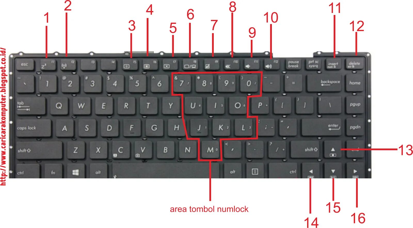 T me num pass. FN+Shift клавиатура. Кнопка num Lock клавиатура MSI. FN на клавиатуре 80%. FN + num Lock ноутбук.