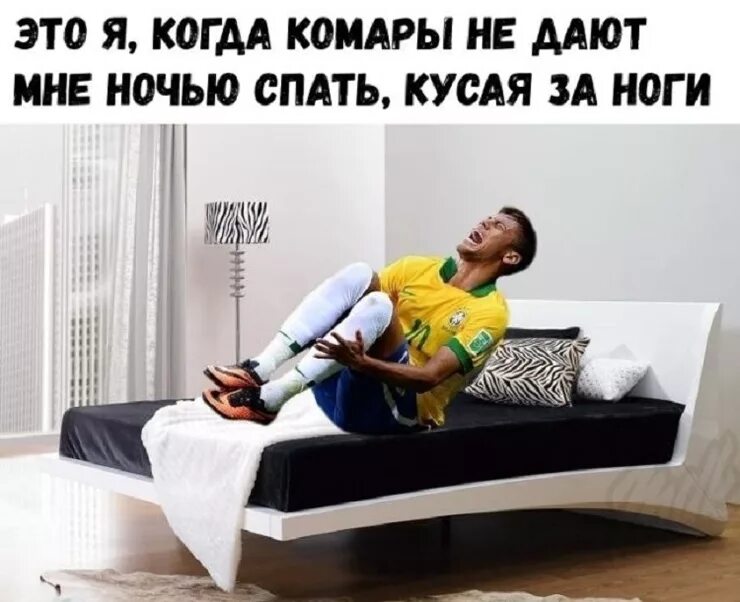 Комар ночью спать. Комары не дают спать. комары ночью не дают спать. комары ночью не дают спать что делать.