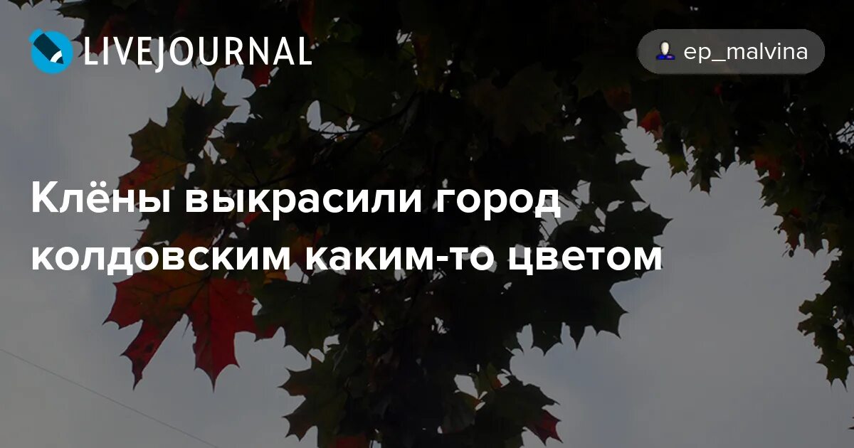 Что такое бабье лето 4 класс. Стихотворение клен ты мой опавший есенин. Клёны выкрасили город текст. Клены выкрасили город текст. Слова песни бабье лето.