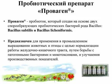 В производстве пробиотических препаратов используют