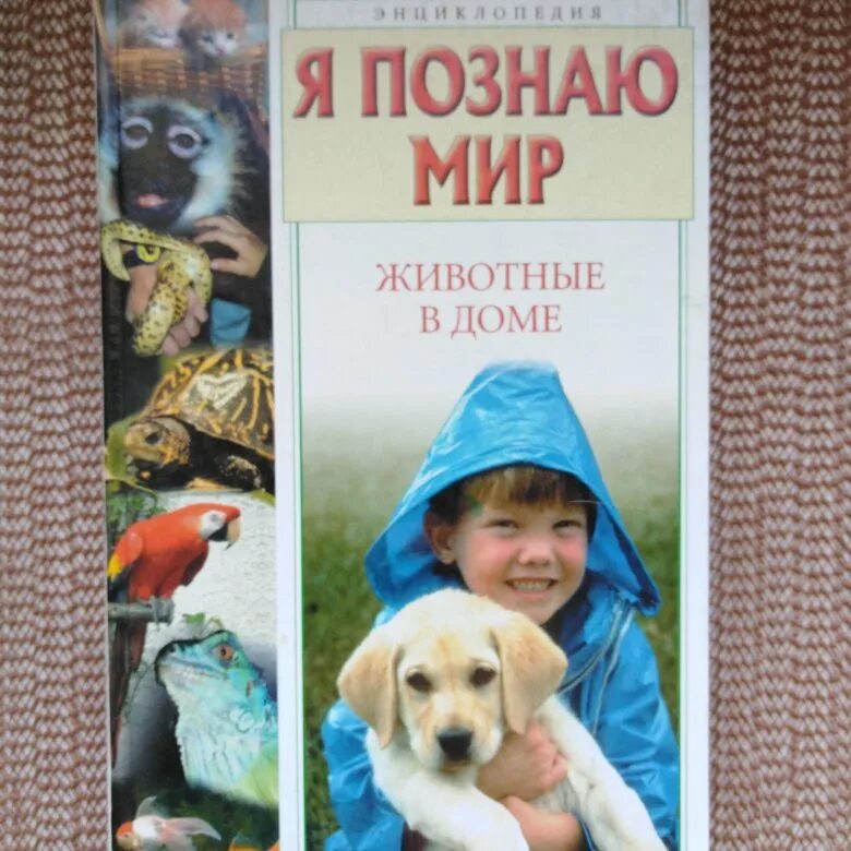 Книга животные в доме. Книга животные в доме. Удивительный мир животных вопросы и ответы книга. Книжки про животных. Энциклопедия я познаю мир домашние животные.