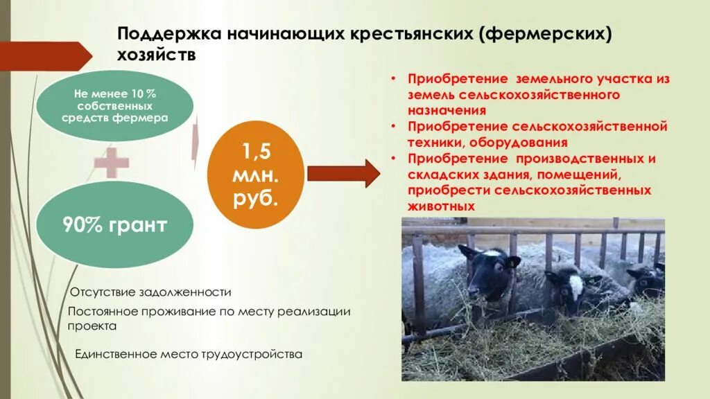 Поддержка крестьянских хозяйств. Крестьянское фермерское хозяйство. крестьянское фермерское хозяйство презентация. понятие крестьянского (фермерского) хозяйства. крестьянское (фермерское) хозяйство (кфх).