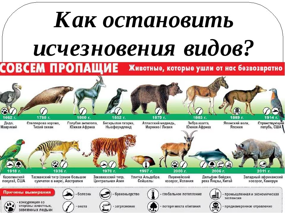 Какие годы какому животному относятся. Исчезающие виды животных. Список исчезающих животных. Вымирающие виды животных. Список всех вымерших животных.