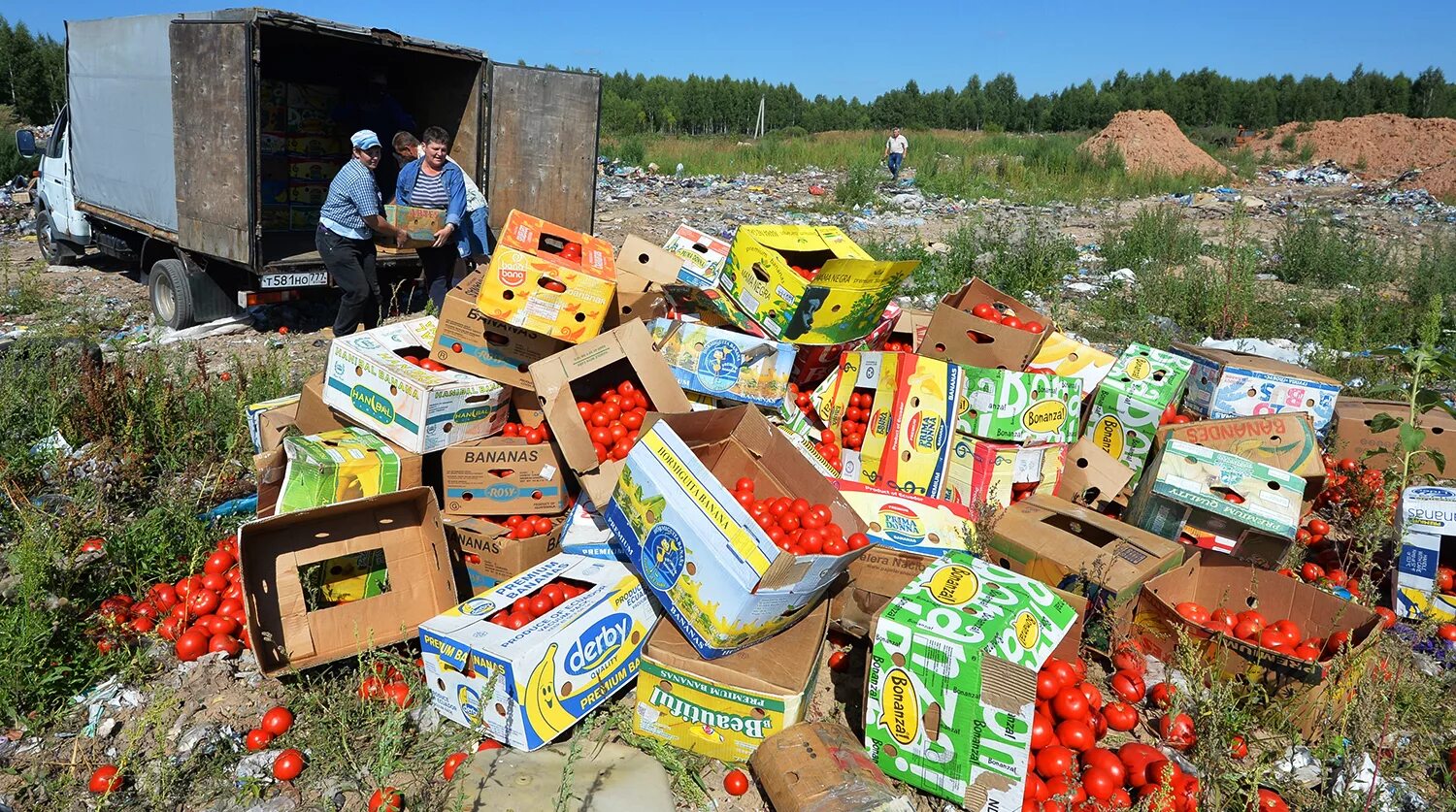 Утилизируем просроченную. Свалка продуктов. Продукты на помойке. Утилизация продуктов питания. Свалка просроченных продуктов.