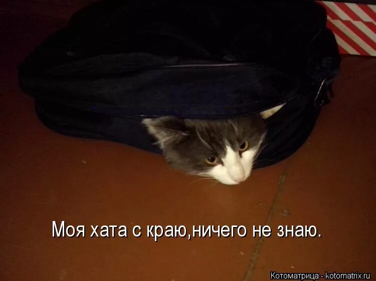Моя хата с краю ничего не знаю. Хата скраю. моя хата скраю я ничего не знаю. фото моя хата с краю ничего не знаю.