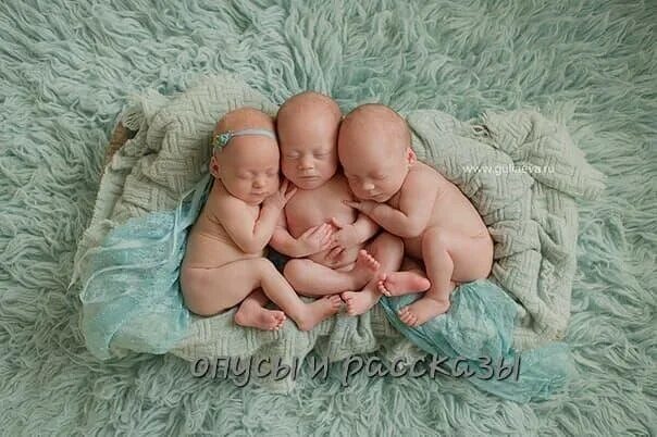 четверняшки аксель. тройня близнецы. тройняшки четверняшки пятерняшки. художественная тройня 7 букв. девушка с тройней.