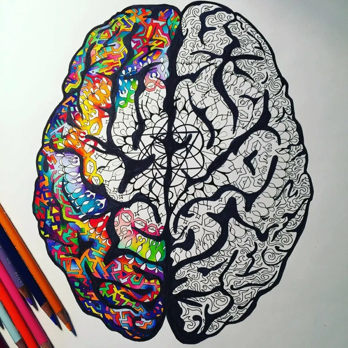 Второе полушарие мозга. Мозг рисунок. Красивый мозг. Мозг картина.