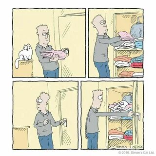 Simon's перевод