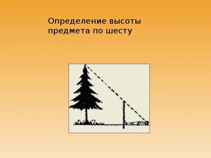 Определение высоты предмета геометрия. Измерение высоты предмета. Измерение высоты предмета по шесту. Определение высоты предмета. Определение высоты предмета по шесту.