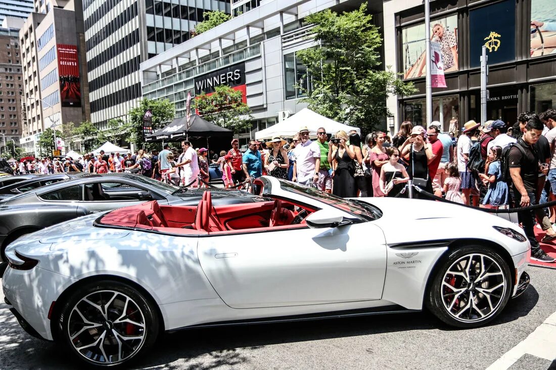 May car. Exotic cars in kingston. exotic show 50s.