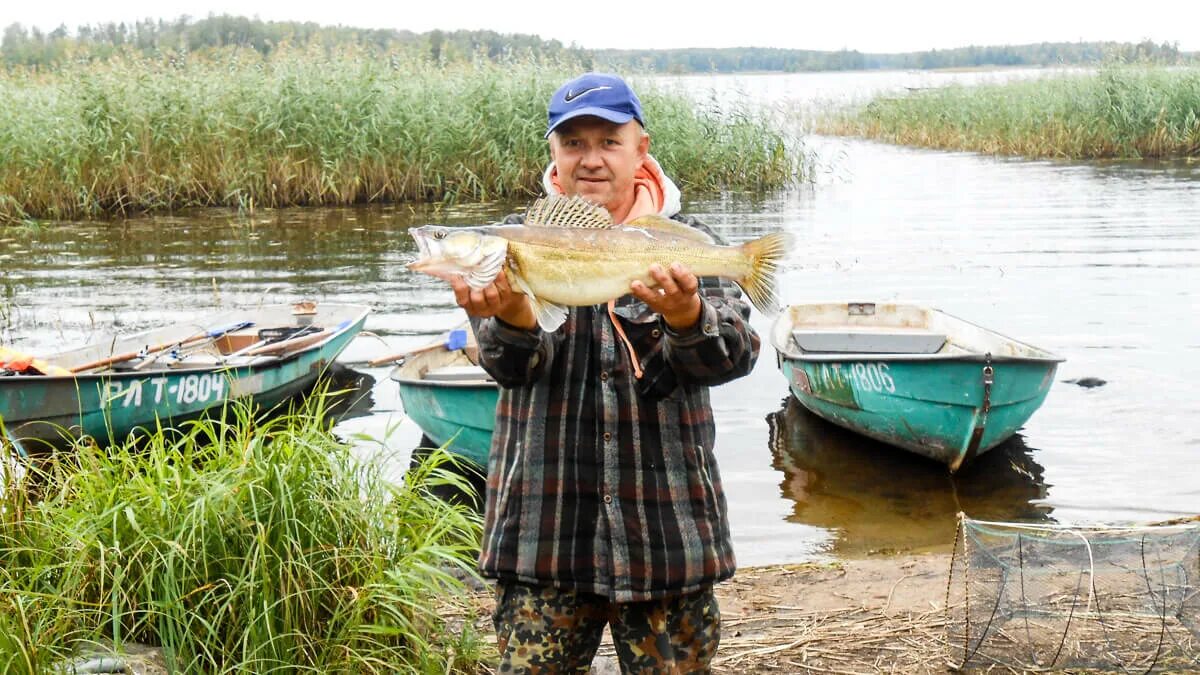 Река Вуокса рыбалка. Озеро Вуокса рыбалка. Щука на Вуоксе. Рыбалка в Лосево на Вуоксе.