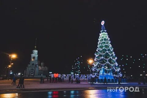 Новогодние елки во владимире