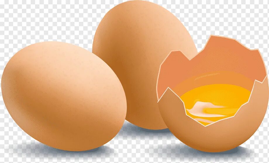 Яйцо вектор. Яйцо без фона. Яйцо для фотошопа. Яйцо мультяшный. Яйцо мультящий.
