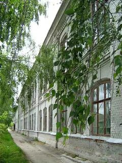 Серая школа