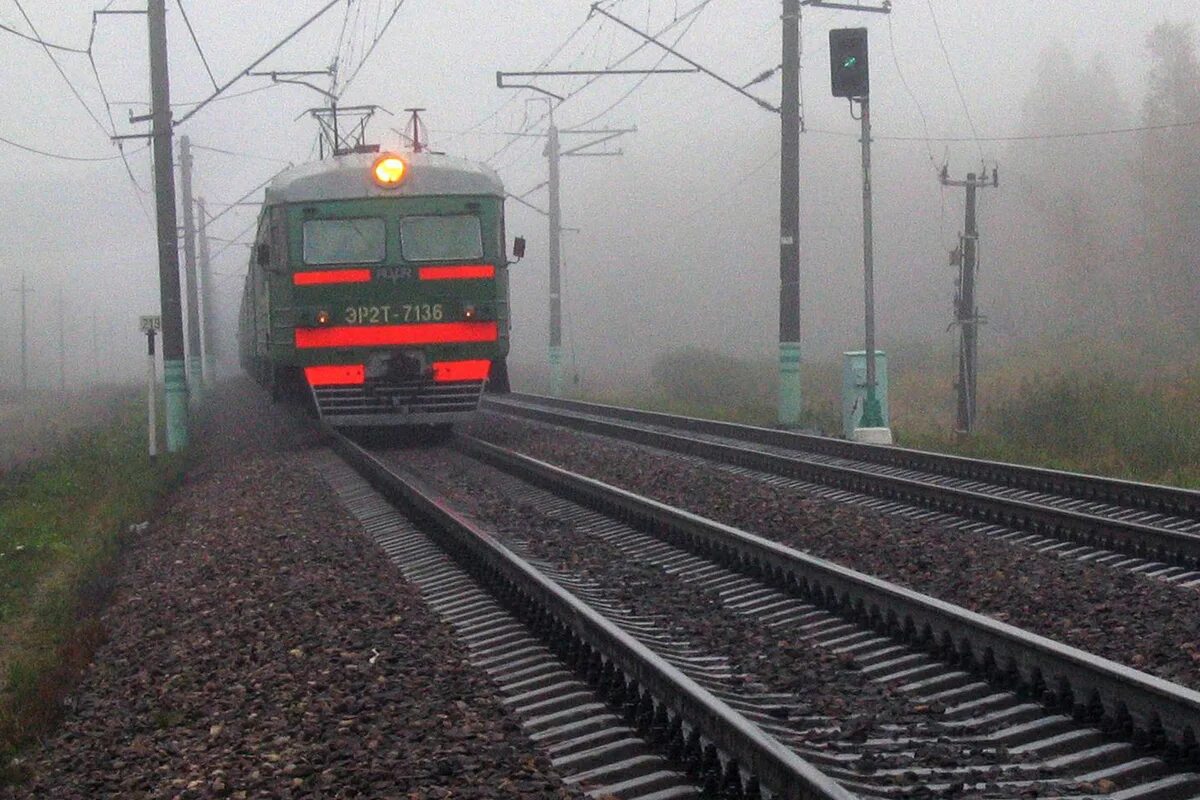 Ту ту поезда дальнего. Подмосковные электрички. поезд дальнего следования фото. поезд дальнего сообщения это. станция шевлягино.