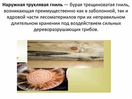 Понятие ядровая древесина