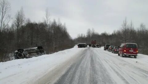 Чп новгородская область